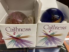 Glass: Caithness paperweights, Desert Orchid #489 and Virtuoso #274, both boxed.