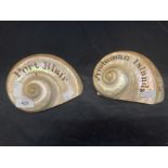 Early 20th cent. Carved pair of seashells, Port Blair and Andaman Islands. 6½ins.