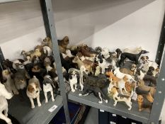 Collection of resin models of pedigree dogs. (Approx. 60)