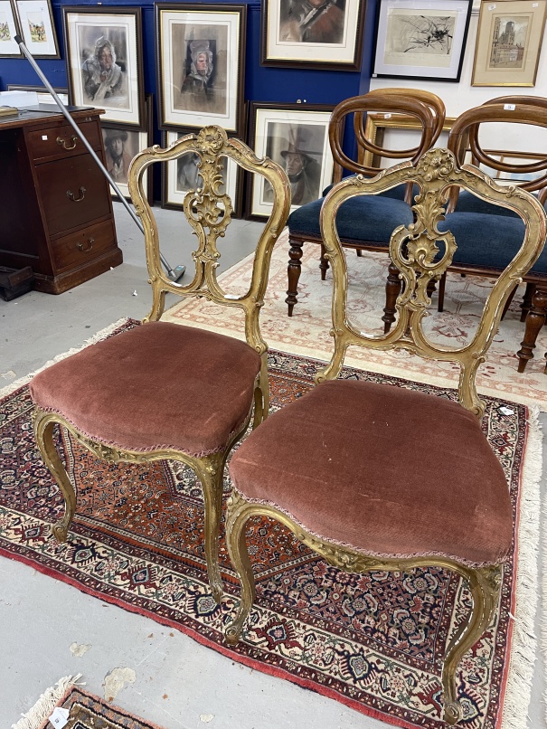 19th cent. Pair of gilt salon chairs with acanthus design to the backs.