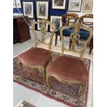 19th cent. Pair of gilt salon chairs with acanthus design to the backs.