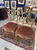19th cent. Pair of gilt salon chairs with acanthus design to the backs.