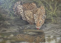 20th cent. Elsa Cornelissen South African wildlife artist, oil on canvas 'Leopard Drinking', white