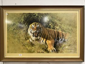 David Shepherd Signed Prints: Includes Tiger 25ins. x 42ins, Zebras and Colony Weavers and The Thick