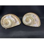 Early 20th cent. Carved pair of seashells, Port Blair and Andaman Islands. 6½ins.