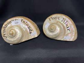 Early 20th cent. Carved pair of seashells, Port Blair and Andaman Islands. 6½ins.