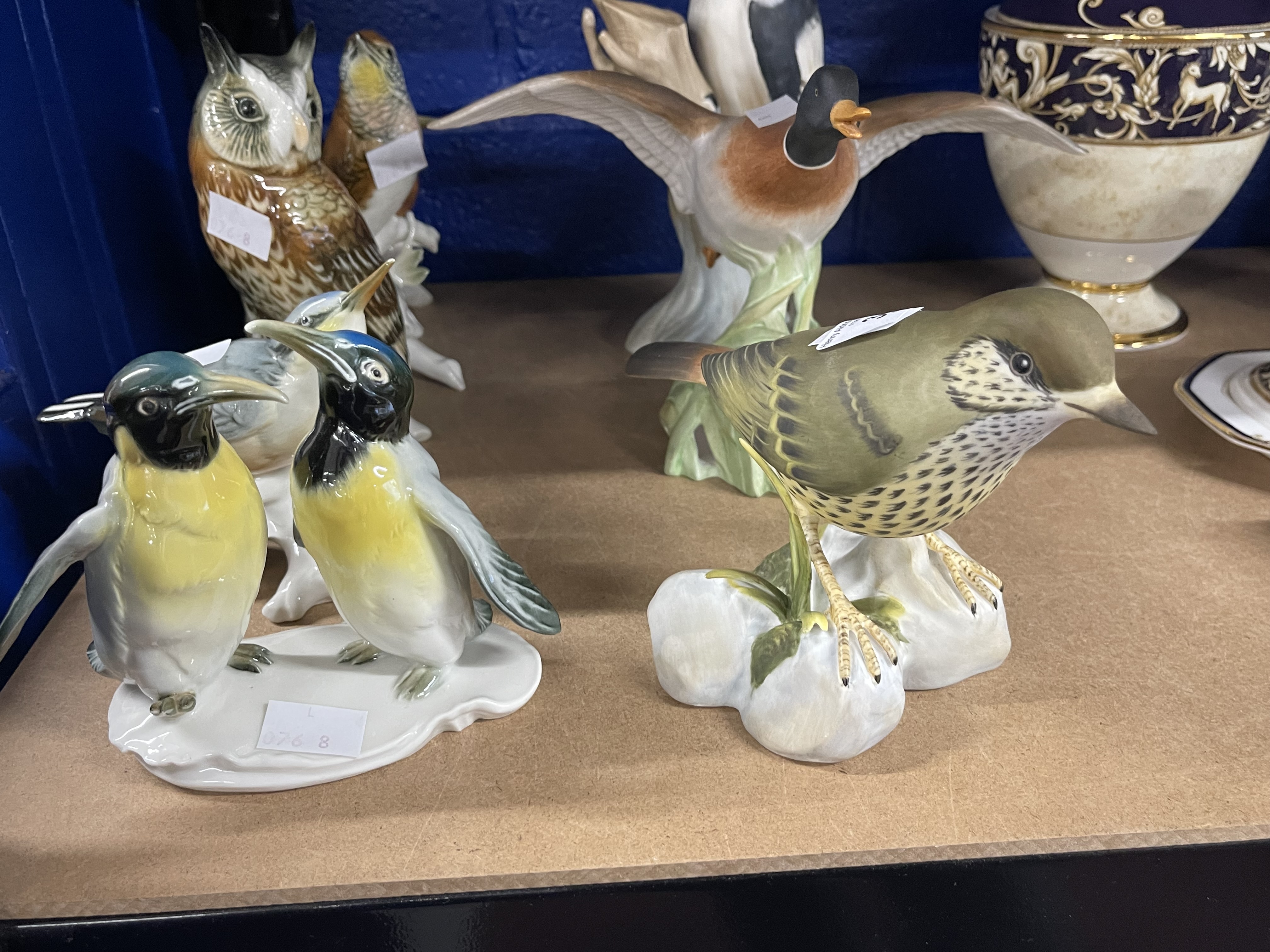 20th cent. Ceramics: Spode Great Spotted Woodpecker, Mallard Duck, Thrush, Karl Ens Mistle Thrush, - Image 4 of 4