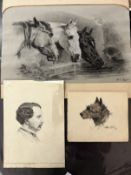 19th cent. Equestrian Art: M.U. Kimer three horses drinking at a pool, a black, a grey and a bay,