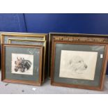 20th cent. American School: Alan Ellison watercolours and sketches of horses and dogs. (6)