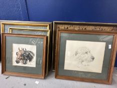 20th cent. American School: Alan Ellison watercolours and sketches of horses and dogs. (6)