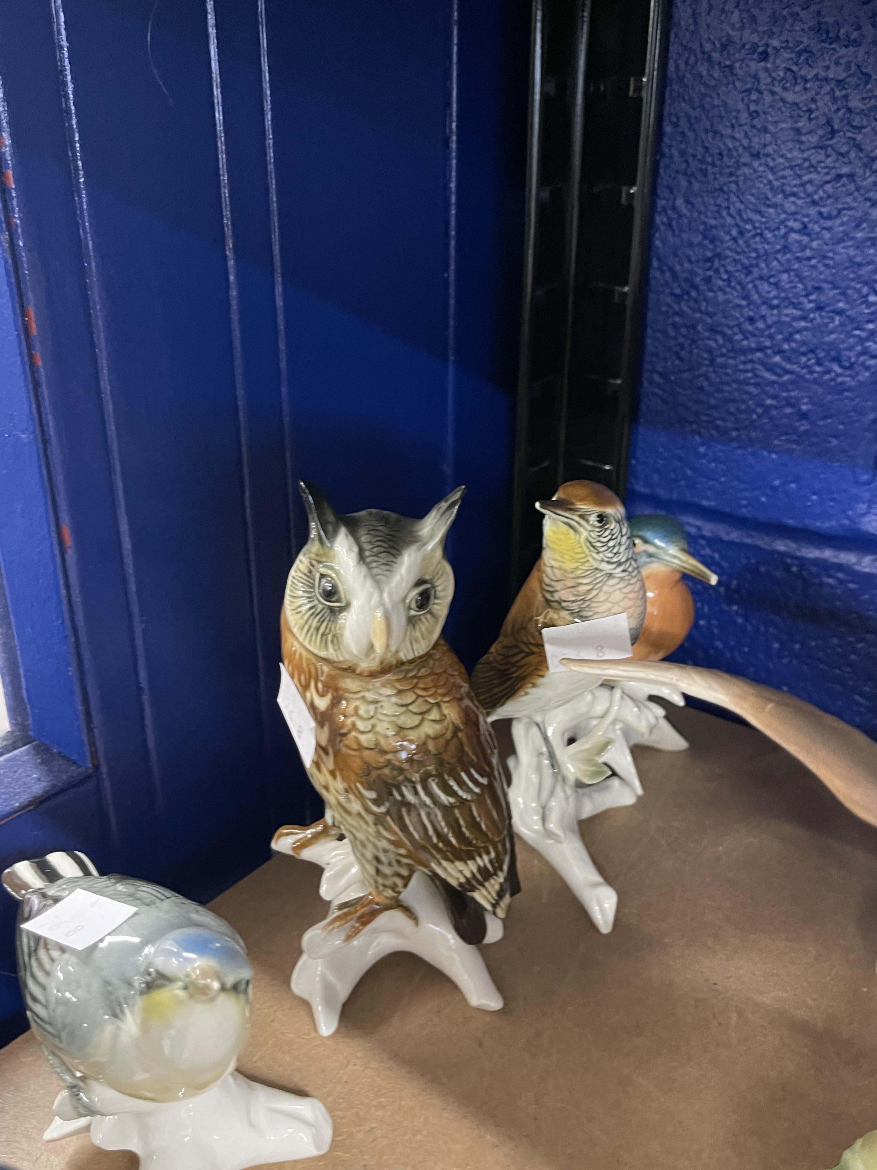20th cent. Ceramics: Spode Great Spotted Woodpecker, Mallard Duck, Thrush, Karl Ens Mistle Thrush, - Image 3 of 4