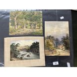 19th/20th century watercolours including works by Merton, Elizabeth Drake and Edward Hargitt. Mostly