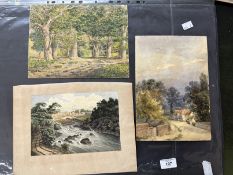 19th/20th century watercolours including works by Merton, Elizabeth Drake and Edward Hargitt. Mostly