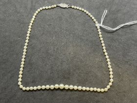 Jewellery: Necklet single row of (87) graduated cultured pearls with a silver clasp
