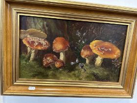 20th cent. British School oil on canvas of 'Red Fungi'. 16ins. x 9ins. 19th cent. Etching print