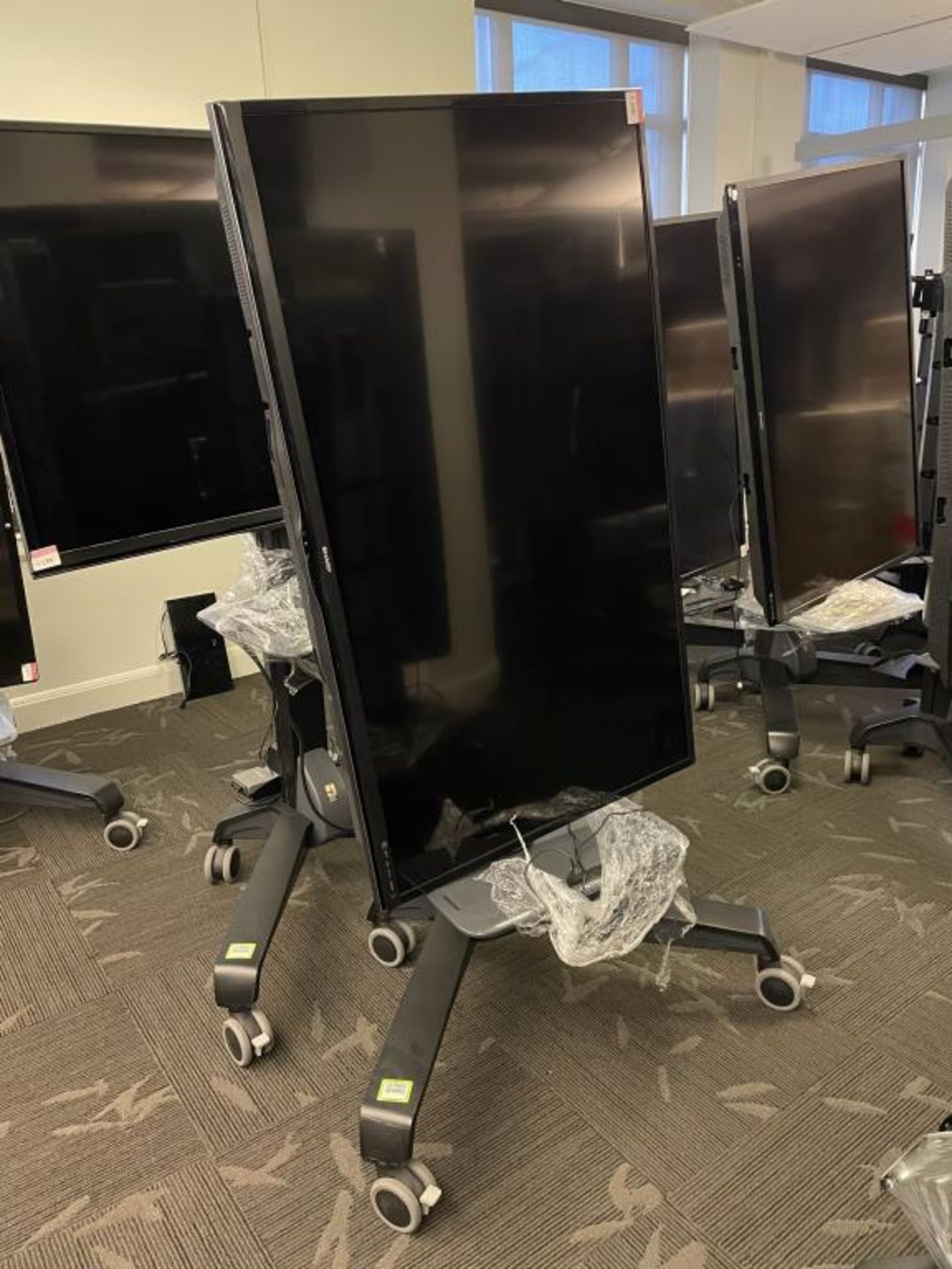 Sharp Aquos 60" LED TV & Ergotron Neo-Flex VHD Mobile