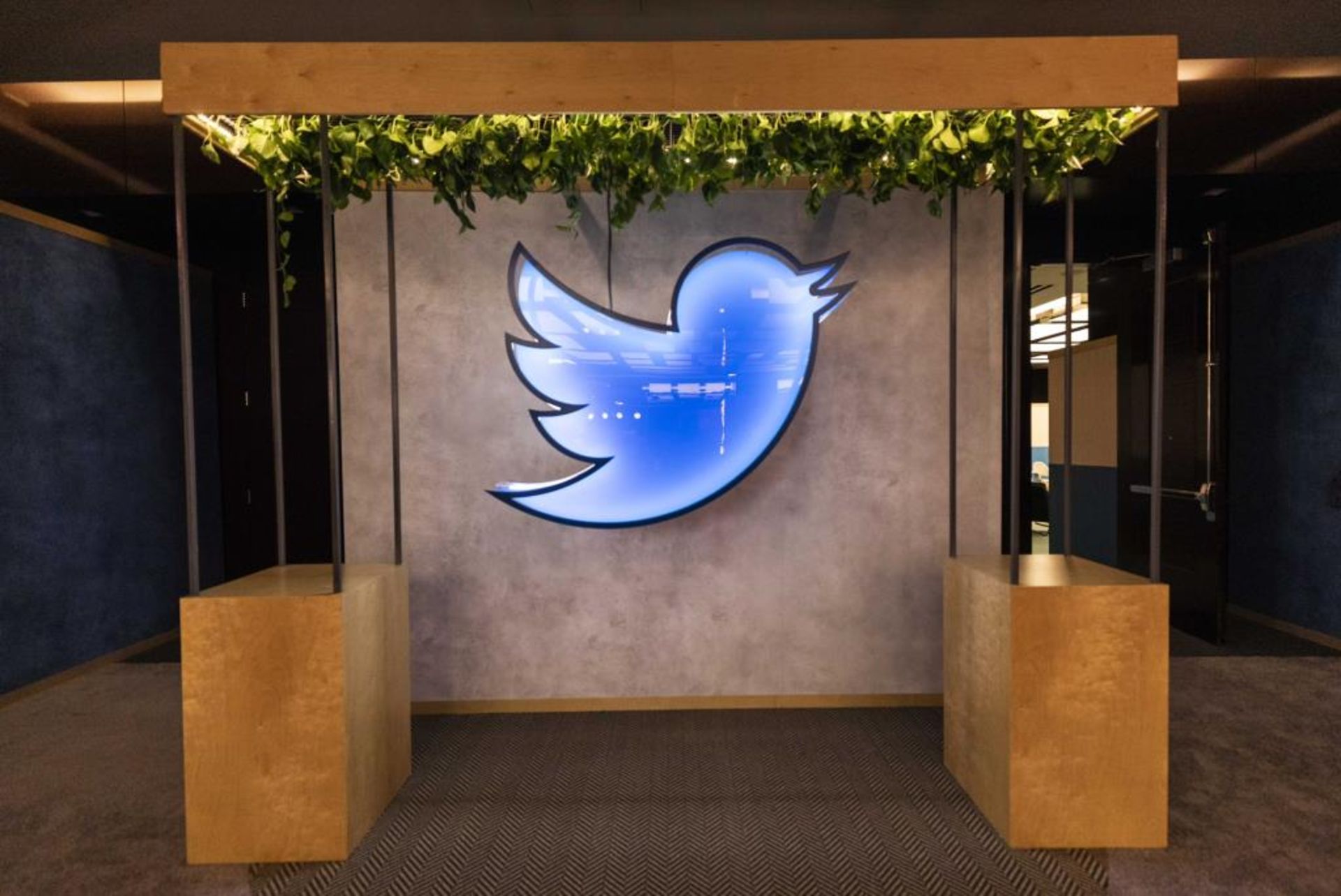 Neon Twitter Bird Light Electrical Display