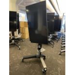 Samsung 55" Display & Ergotron Neo-Flex VHD Mobile Media Center