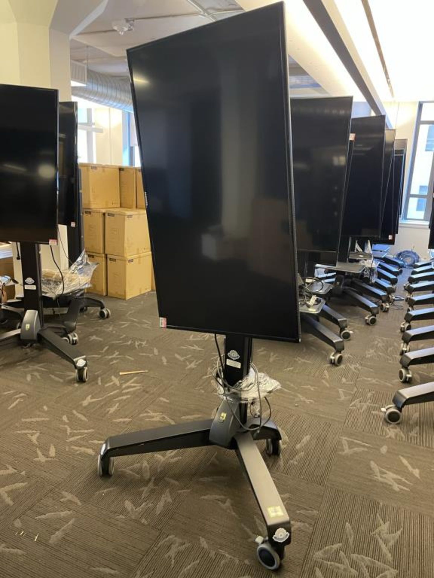 Samsung 55" Display & Ergotron Neo-Flex VHD Mobile Media Center