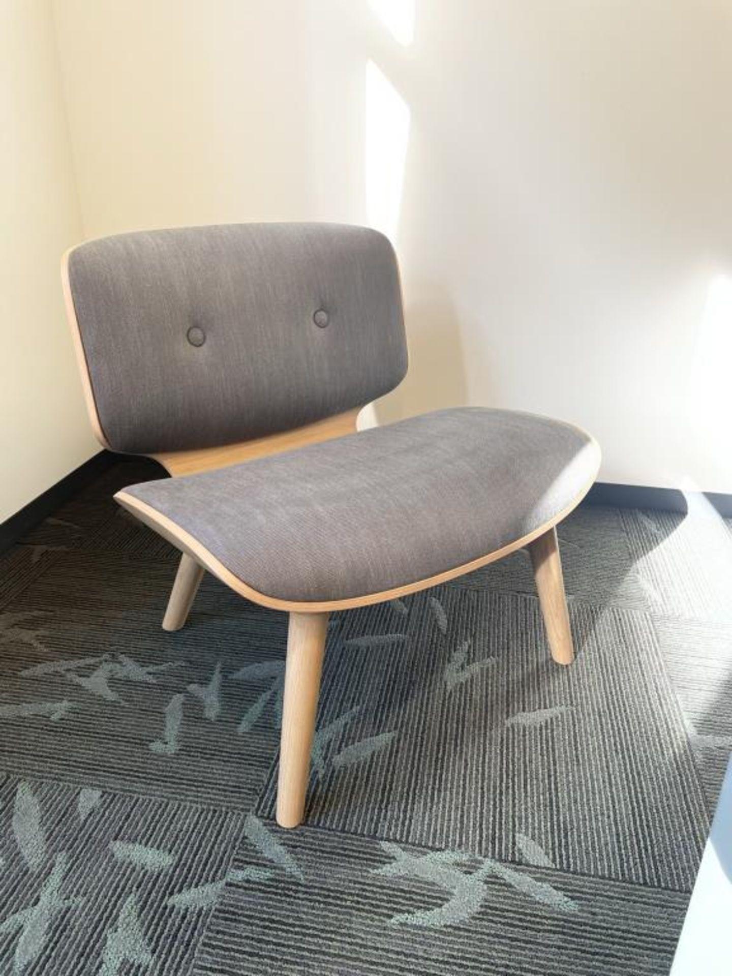 Moooi Nut Lounge Chair