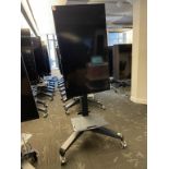 Samsung 55" Display & Ergotron Neo-Flex VHD Mobile Media Center