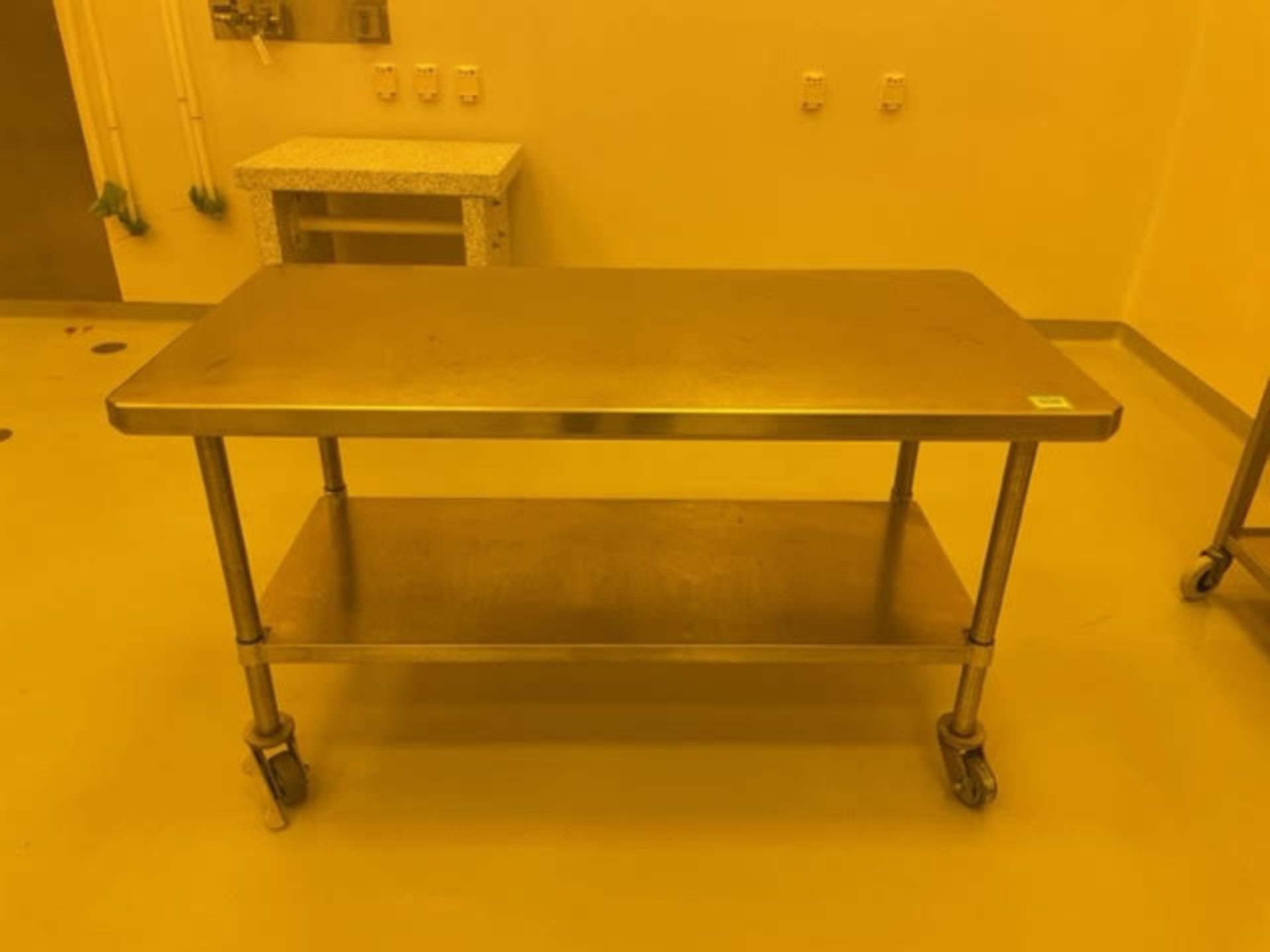 Stainless Steel Mobile Table