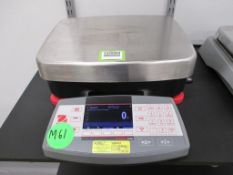 Ohaus Bench Scale