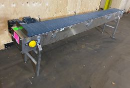 Stainless Steel Conveyor