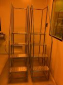 (2) Stainless Steel Ladders