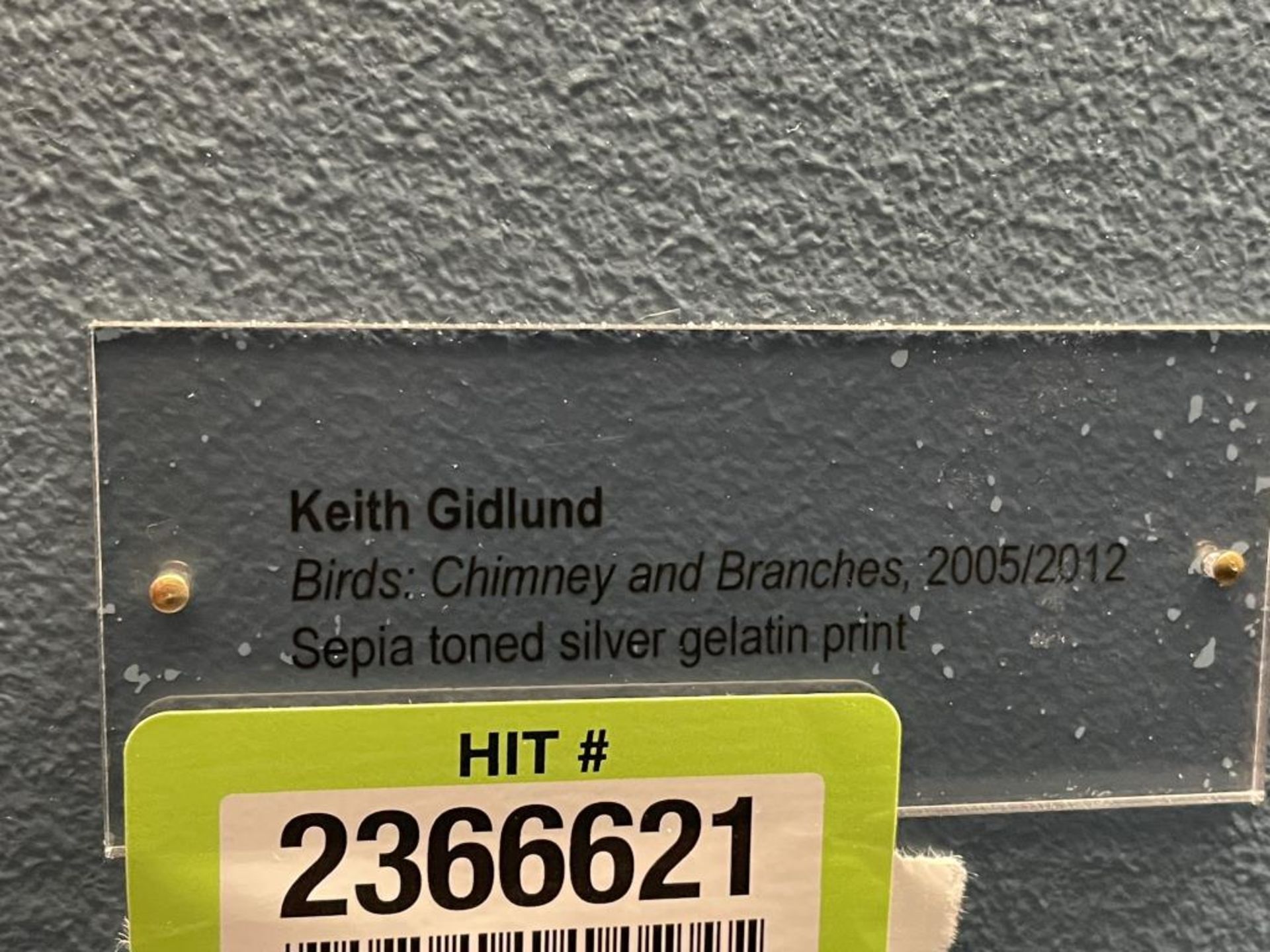 Keith Gidlund "Bird Chimney & Branches" Photo - Image 4 of 8