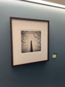 Keith Gidlund "Bird Chimney & Branches" Photo