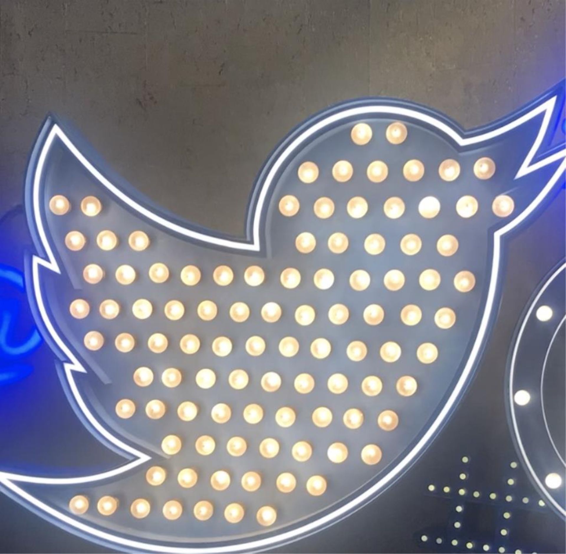 Twitter Bird Neon Marquee Light Sign