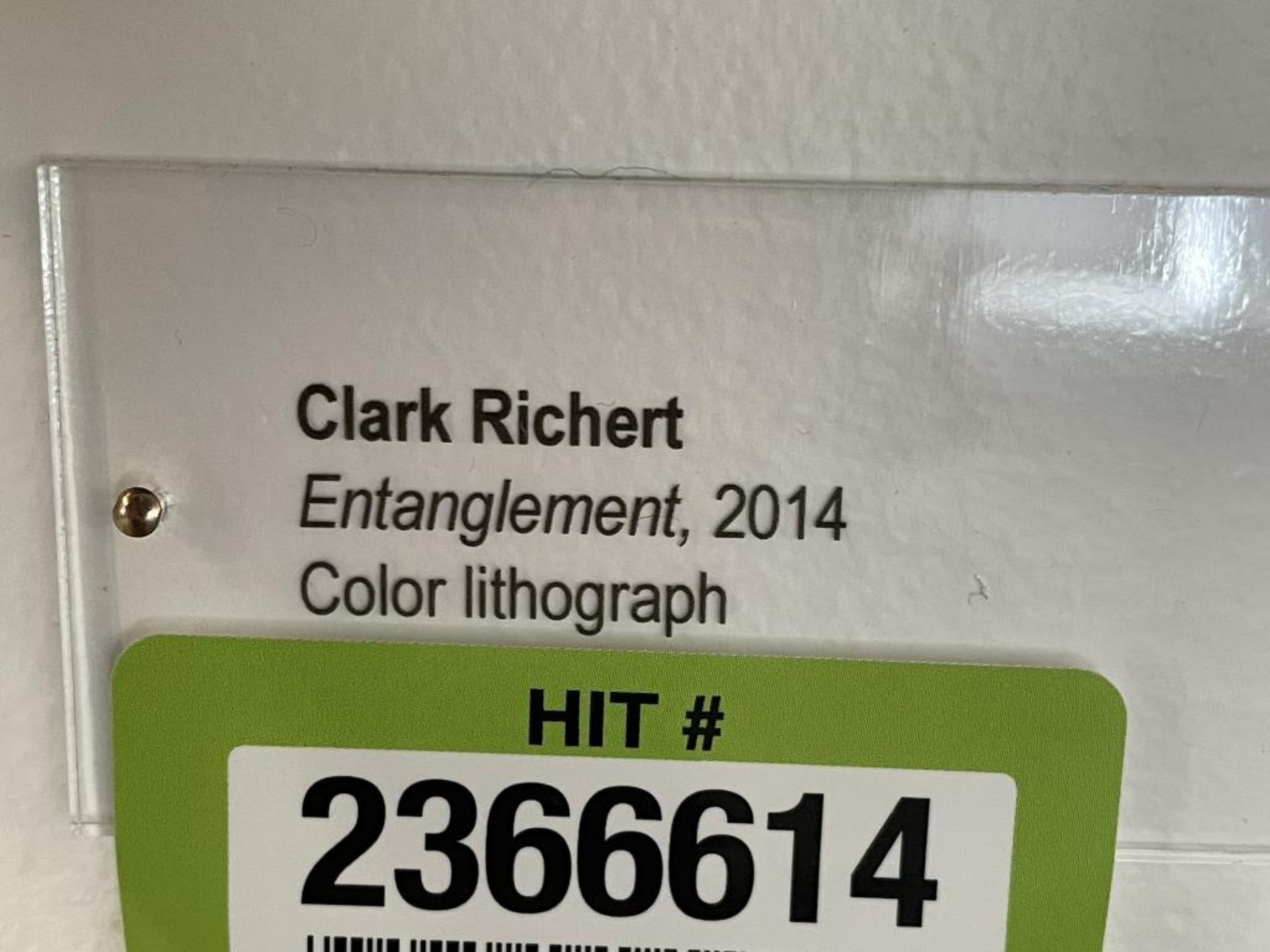 Clark Richert "Entanglement, 2014" Color - Image 3 of 6