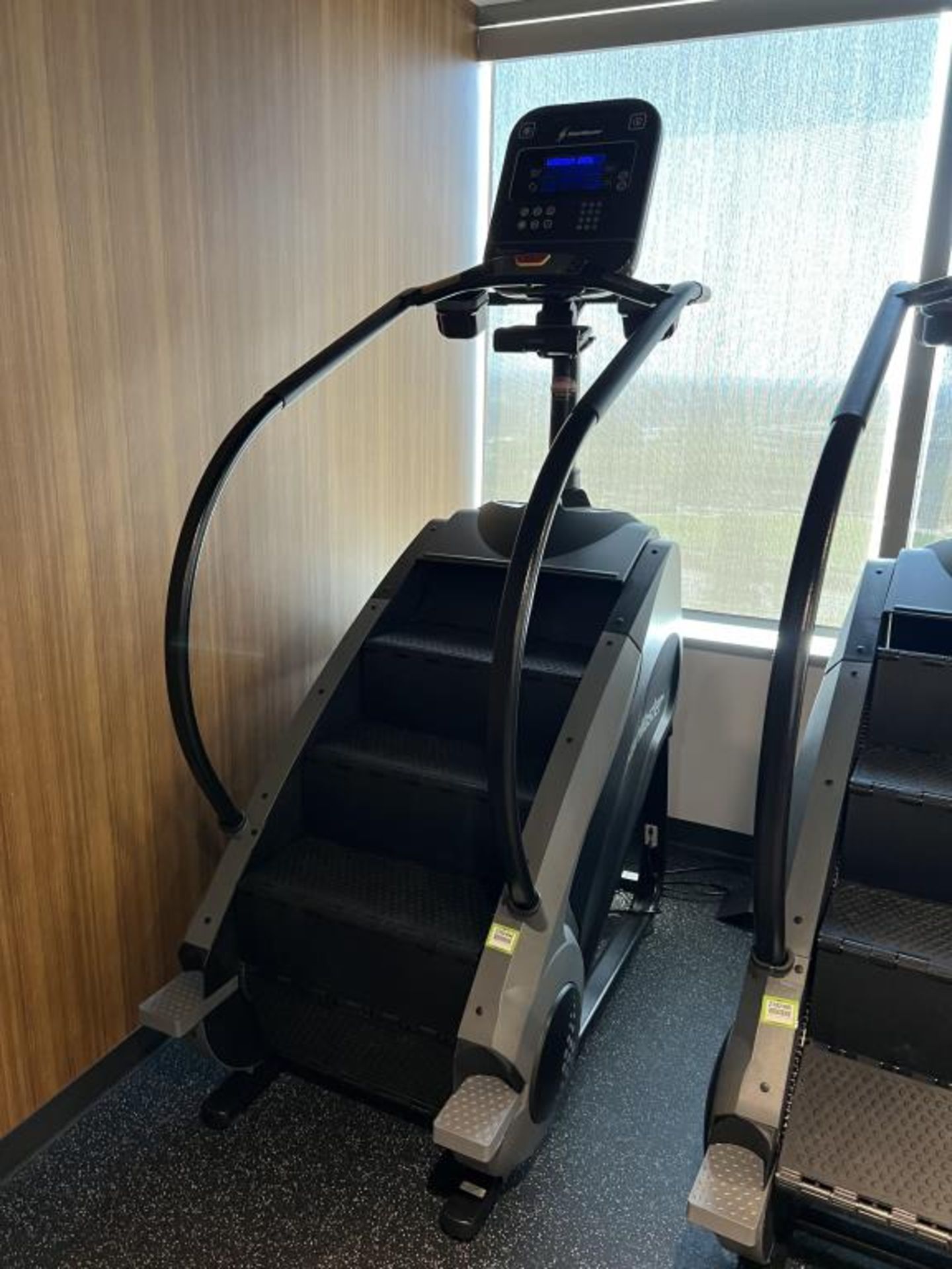 Stair Master Stepping Machine