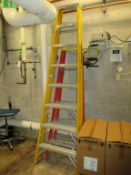 Werner Step Ladders