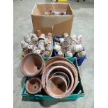 4 Boxes Of Small Terracotta Plant Pots