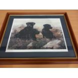 A Print Of 3 Labradors Limited Edition 698/850