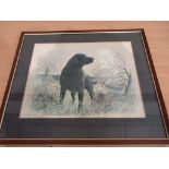 A Print Of Labrador Signed By James Rowley Limited Edition 347/850