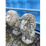 2 Stone Lions