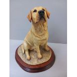 Border Fine Arts - Labrador Dog (Yellow) MT02A On Wood Base By M Turner