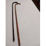 2 Walking Sticks