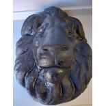 Ware Lion's Head