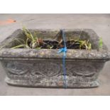 Ware Planter H19cm x W43cm x D26cm