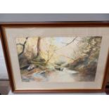 Print - Woodland Scene In Mahogany Frame H63cm x W87cm