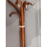 Bundle 6 Walking Sticks