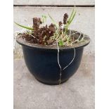 Blue Glazed Planter H26cm x W38cm