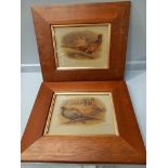 2 Pheasant Prints In Pine Frames H32cm x W37cm