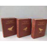 3 Volumes The Birds Of The British Isles (Series One, Two & Three) With Illustrations, 1 Volume