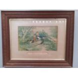 Print - The Golden & Amherst Pheasants In Oak Frame (Ludlow 1905)