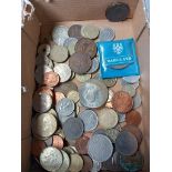 Box Coins & Notes